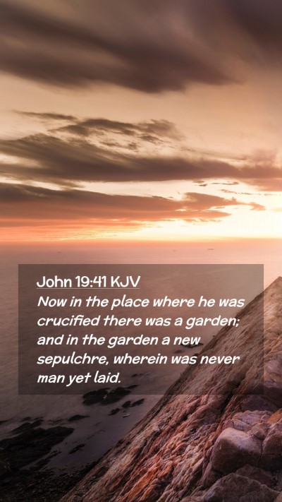 Picture 02 - John 19:41 KJV Mobile Phone Wallpaper - Now in the place where he was crucified there was - Mobile Bible Verse Wallpaper