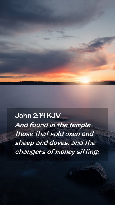 Picture 02 - John 2:14 KJV Mobile Phone Wallpaper - And found in the temple those that sold oxen and - Mobile Bible Verse Wallpaper