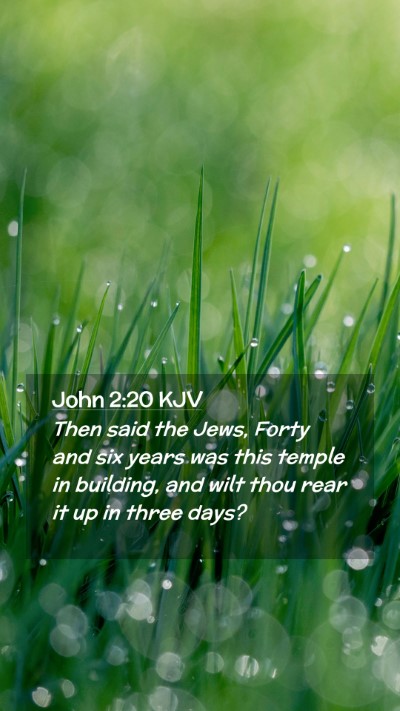 Picture 02 - John 2:20 KJV Mobile Phone Wallpaper - Then said the Jews, Forty and six years was this - Mobile Bible Verse Wallpaper
