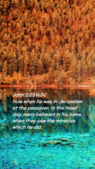 Picture 02 - John 2:23 KJV Mobile Phone Wallpaper - Now when he was in Jerusalem at the passover, in - Mobile Bible Verse Wallpaper