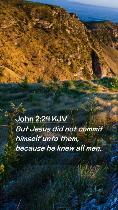 Picture 02 - John 2:24 KJV Mobile Phone Wallpaper - But Jesus did not commit himself unto them, - Mobile Bible Verse Wallpaper
