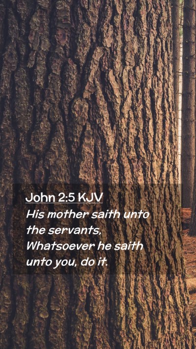 Picture 02 - John 2:5 KJV Mobile Phone Wallpaper - His mother saith unto the servants, Whatsoever he - Mobile Bible Verse Wallpaper
