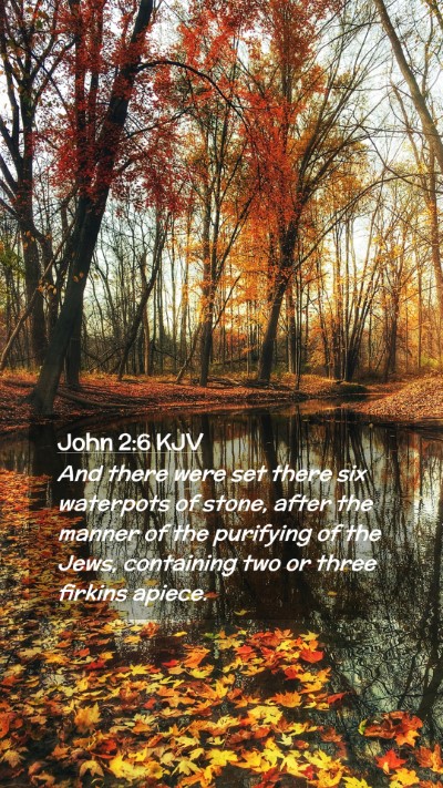 Picture 02 - John 2:6 KJV Mobile Phone Wallpaper - And there were set there six waterpots of stone, - Mobile Bible Verse Wallpaper