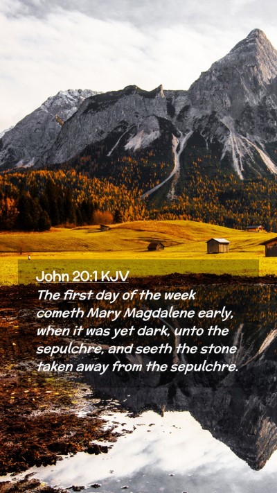 Picture 02 - John 20:1 KJV Mobile Phone Wallpaper - The first day of the week cometh Mary Magdalene - Mobile Bible Verse Wallpaper