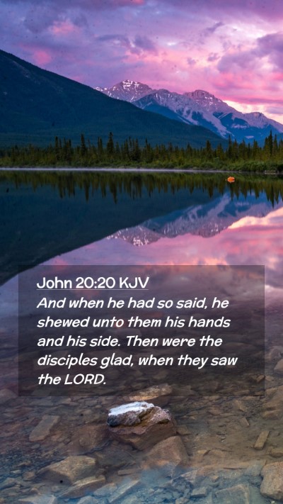Picture 02 - John 20:20 KJV Mobile Phone Wallpaper - And when he had so said, he shewed unto them his - Mobile Bible Verse Wallpaper
