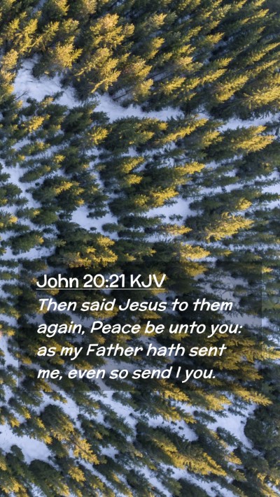 Picture 02 - John 20:21 KJV Mobile Phone Wallpaper - Then said Jesus to them again, Peace be unto you: - Mobile Bible Verse Wallpaper