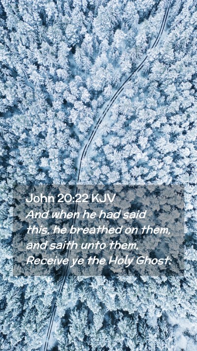 Picture 02 - John 20:22 KJV Mobile Phone Wallpaper - And when he had said this, he breathed on them, - Mobile Bible Verse Wallpaper
