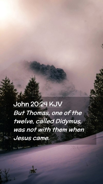 Picture 02 - John 20:24 KJV Mobile Phone Wallpaper - But Thomas, one of the twelve, called Didymus, - Mobile Bible Verse Wallpaper