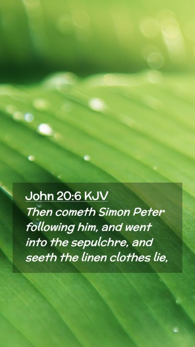 Picture 02 - John 20:6 KJV Mobile Phone Wallpaper - Then cometh Simon Peter following him, and went - Mobile Bible Verse Wallpaper