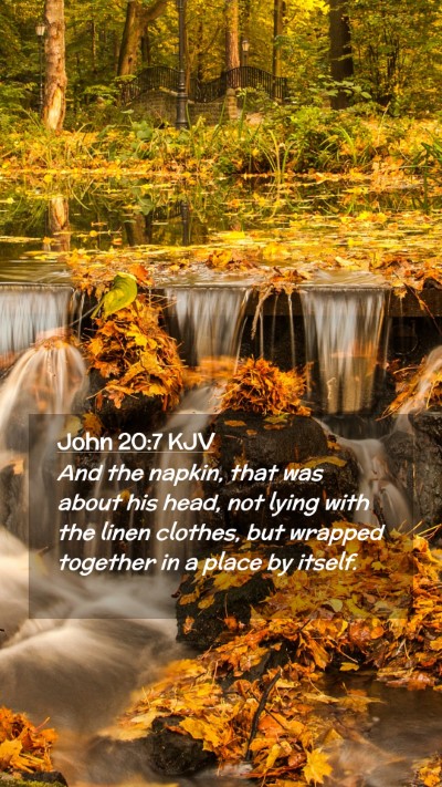 Picture 02 - John 20:7 KJV Mobile Phone Wallpaper - And the napkin, that was about his head, not - Mobile Bible Verse Wallpaper