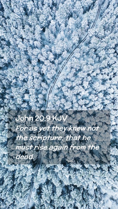 Picture 02 - John 20:9 KJV Mobile Phone Wallpaper - For as yet they knew not the scripture, that he - Mobile Bible Verse Wallpaper