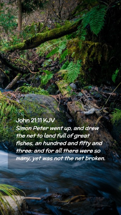 Picture 02 - John 21:11 KJV Mobile Phone Wallpaper - Simon Peter went up, and drew the net to land - Mobile Bible Verse Wallpaper