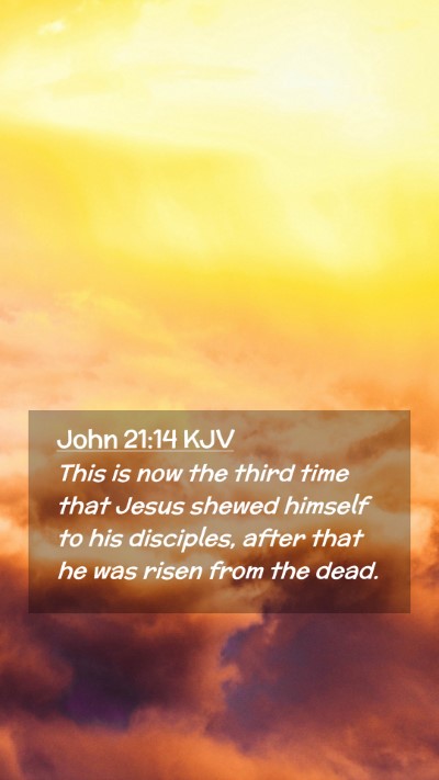 Picture 02 - John 21:14 KJV Mobile Phone Wallpaper - This is now the third time that Jesus shewed - Mobile Bible Verse Wallpaper