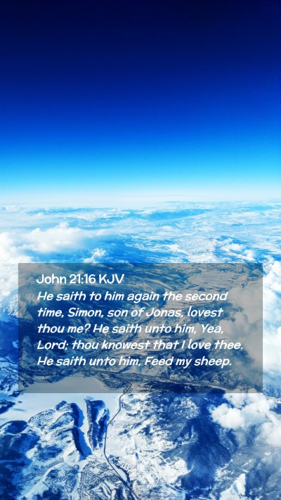 Picture 02 - John 21:16 KJV Mobile Phone Wallpaper - He saith to him again the second time, Simon, son - Mobile Bible Verse Wallpaper