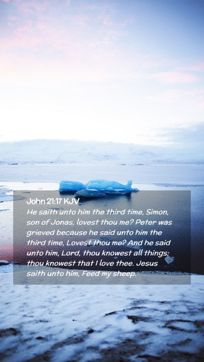 Picture 02 - John 21:17 KJV Mobile Phone Wallpaper - He saith unto him the third time, Simon, son of - Mobile Bible Verse Wallpaper