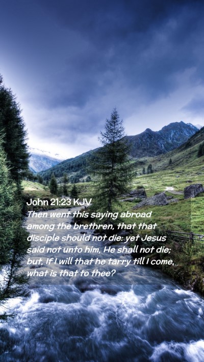 Picture 02 - John 21:23 KJV Mobile Phone Wallpaper - Then went this saying abroad among the brethren, - Mobile Bible Verse Wallpaper