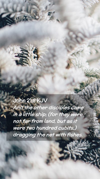 Picture 02 - John 21:8 KJV Mobile Phone Wallpaper - And the other disciples came in a little ship; - Mobile Bible Verse Wallpaper