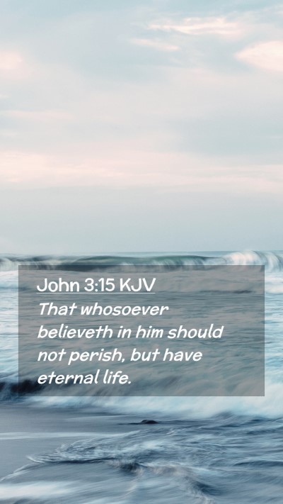 Picture 02 - John 3:15 KJV Mobile Phone Wallpaper - That whosoever believeth in him should not - Mobile Bible Verse Wallpaper