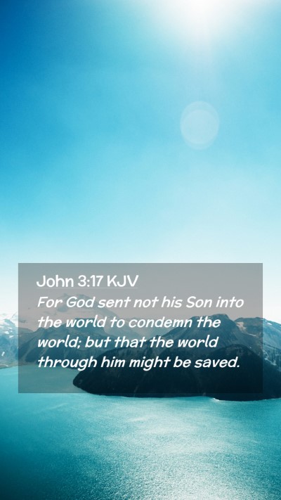 Picture 02 - John 3:17 KJV Mobile Phone Wallpaper - For God sent not his Son into the world to - Mobile Bible Verse Wallpaper