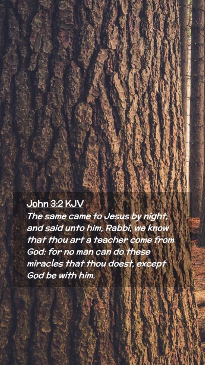 Picture 02 - John 3:2 KJV Mobile Phone Wallpaper - The same came to Jesus by night, and said unto - Mobile Bible Verse Wallpaper