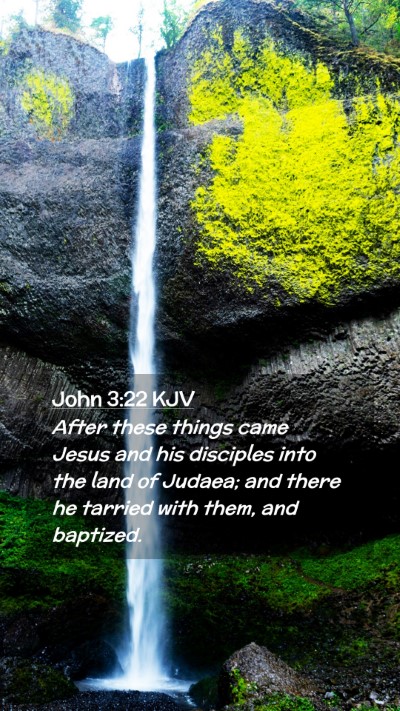 Picture 02 - John 3:22 KJV Mobile Phone Wallpaper - After these things came Jesus and his disciples - Mobile Bible Verse Wallpaper