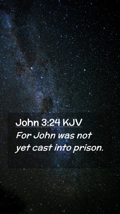 Picture 02 - John 3:24 KJV Mobile Phone Wallpaper - For John was not yet cast into - Mobile Bible Verse Wallpaper