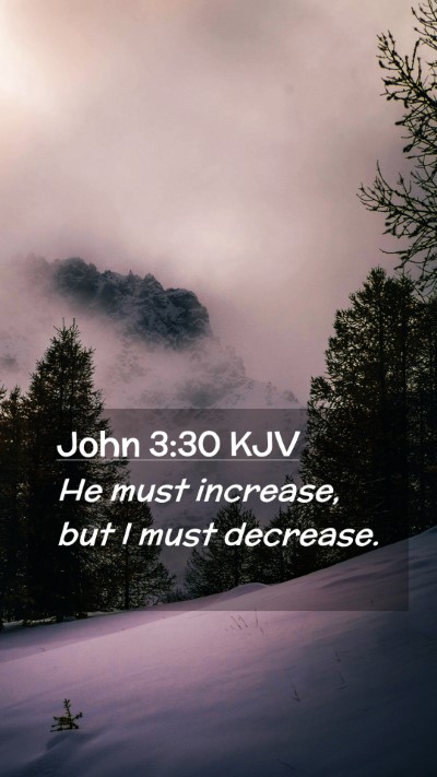 Picture 02 - John 3:30 KJV Mobile Phone Wallpaper - He must increase, but I must - Mobile Bible Verse Wallpaper
