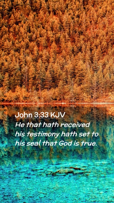 Picture 02 - John 3:33 KJV Mobile Phone Wallpaper - He that hath received his testimony hath set to - Mobile Bible Verse Wallpaper