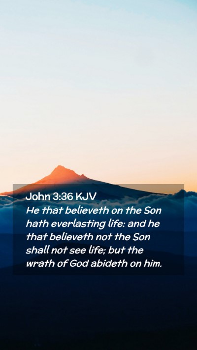 Picture 02 - John 3:36 KJV Mobile Phone Wallpaper - He that believeth on the Son hath everlasting - Mobile Bible Verse Wallpaper