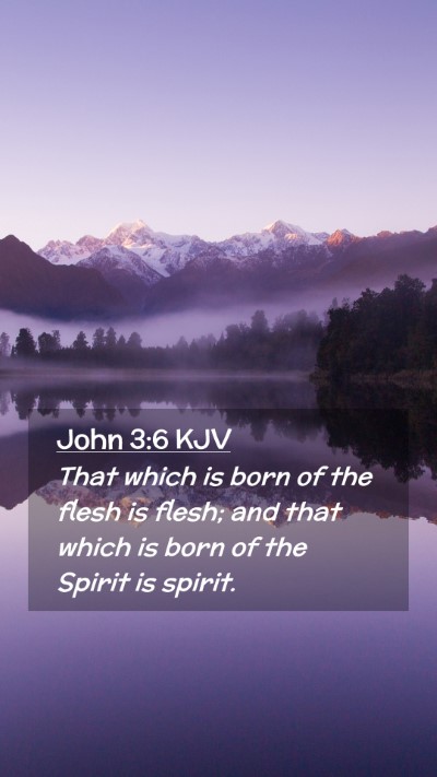 Picture 02 - John 3:6 KJV Mobile Phone Wallpaper - That which is born of the flesh is flesh; and - Mobile Bible Verse Wallpaper