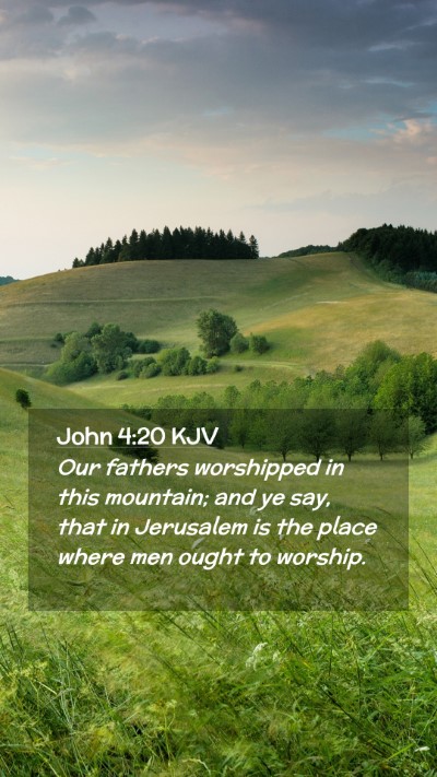 Picture 02 - John 4:20 KJV Mobile Phone Wallpaper - Our fathers worshipped in this mountain; and ye - Mobile Bible Verse Wallpaper