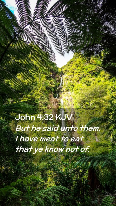 Picture 02 - John 4:32 KJV Mobile Phone Wallpaper - But he said unto them, I have meat to eat that ye - Mobile Bible Verse Wallpaper