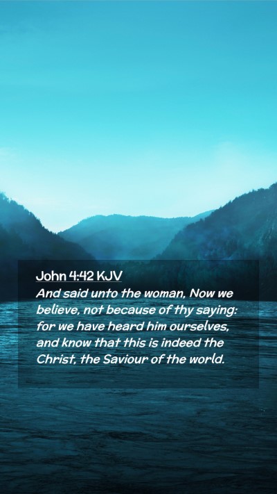 Picture 02 - John 4:42 KJV Mobile Phone Wallpaper - And said unto the woman, Now we believe, not - Mobile Bible Verse Wallpaper