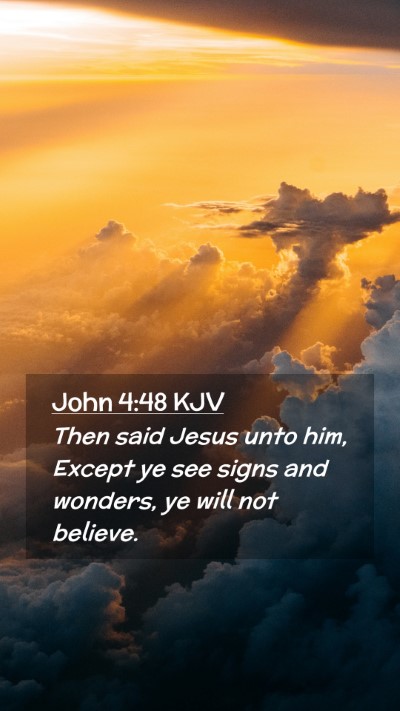 Picture 02 - John 4:48 KJV Mobile Phone Wallpaper - Then said Jesus unto him, Except ye see signs and - Mobile Bible Verse Wallpaper