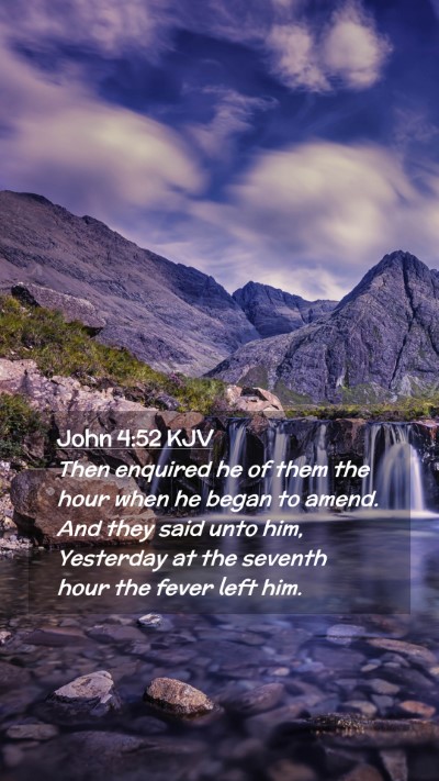 Picture 02 - John 4:52 KJV Mobile Phone Wallpaper - Then enquired he of them the hour when he began - Mobile Bible Verse Wallpaper