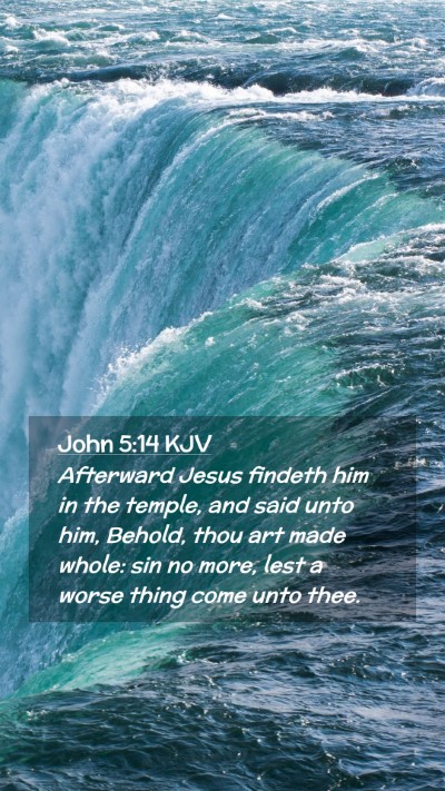 Picture 02 - John 5:14 KJV Mobile Phone Wallpaper - Afterward Jesus findeth him in the temple, and - Mobile Bible Verse Wallpaper