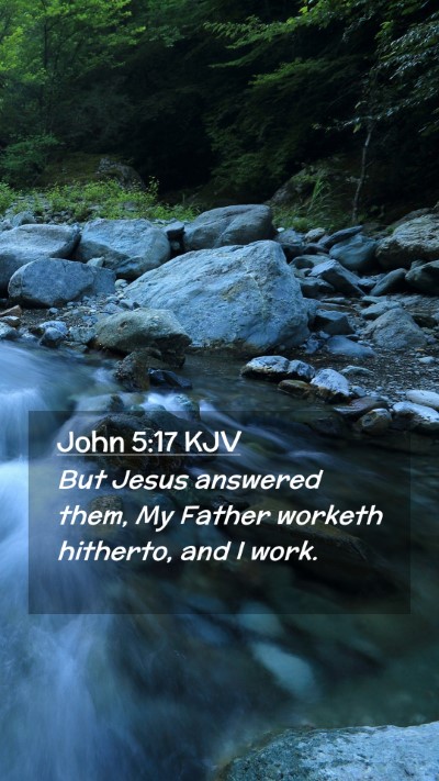 Picture 02 - John 5:17 KJV Mobile Phone Wallpaper - But Jesus answered them, My Father worketh - Mobile Bible Verse Wallpaper