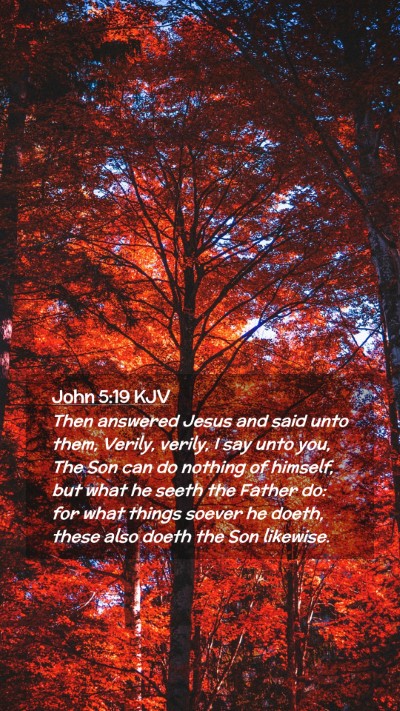 Picture 02 - John 5:19 KJV Mobile Phone Wallpaper - Then answered Jesus and said unto them, Verily, - Mobile Bible Verse Wallpaper