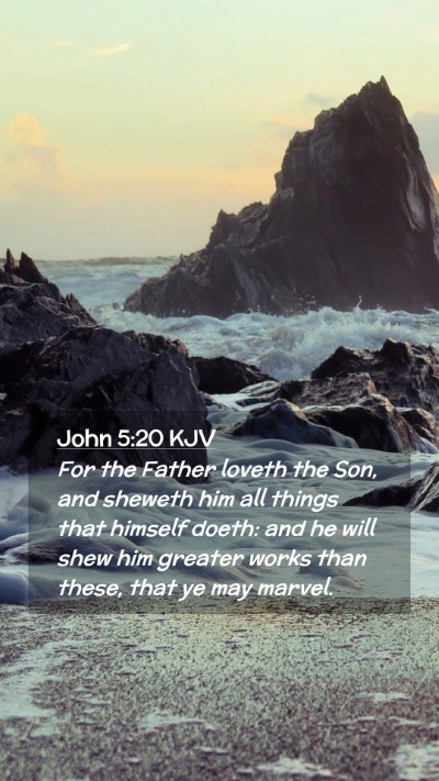 Picture 02 - John 5:20 KJV Mobile Phone Wallpaper - For the Father loveth the Son, and sheweth him - Mobile Bible Verse Wallpaper