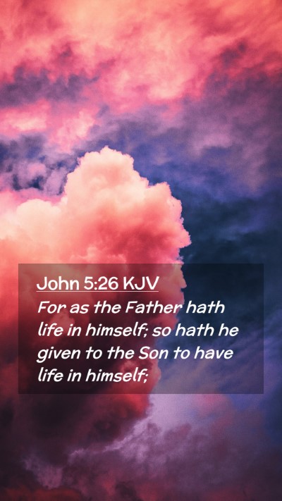 Picture 02 - John 5:26 KJV Mobile Phone Wallpaper - For as the Father hath life in himself; so hath - Mobile Bible Verse Wallpaper