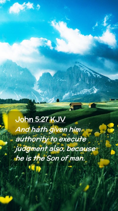 Picture 02 - John 5:27 KJV Mobile Phone Wallpaper - And hath given him authority to execute judgment - Mobile Bible Verse Wallpaper