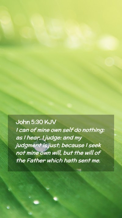 Picture 02 - John 5:30 KJV Mobile Phone Wallpaper - I can of mine own self do nothing: as I hear, I - Mobile Bible Verse Wallpaper