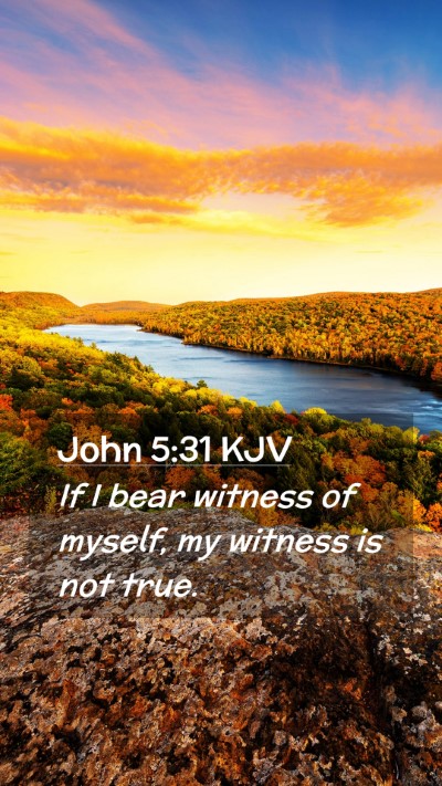 Picture 02 - John 5:31 KJV Mobile Phone Wallpaper - If I bear witness of myself, my witness is not - Mobile Bible Verse Wallpaper