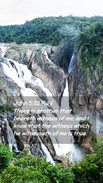 Picture 02 - John 5:32 KJV Mobile Phone Wallpaper - There is another that beareth witness of me; and - Mobile Bible Verse Wallpaper