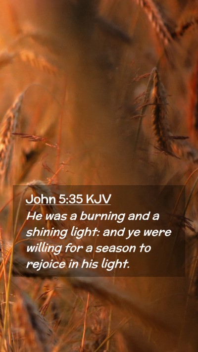 Picture 02 - John 5:35 KJV Mobile Phone Wallpaper - He was a burning and a shining light: and ye were - Mobile Bible Verse Wallpaper