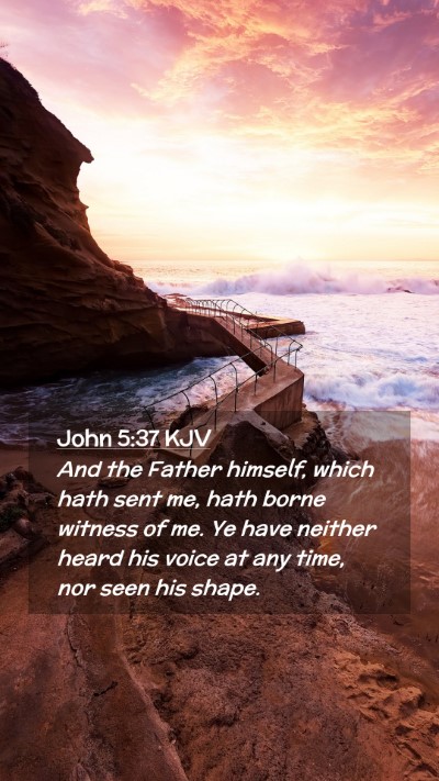Picture 02 - John 5:37 KJV Mobile Phone Wallpaper - And the Father himself, which hath sent me, hath - Mobile Bible Verse Wallpaper