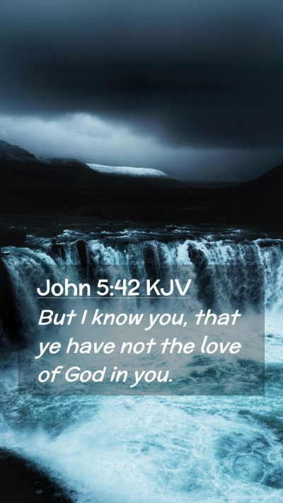 Picture 02 - John 5:42 KJV Mobile Phone Wallpaper - But I know you, that ye have not the love of God - Mobile Bible Verse Wallpaper
