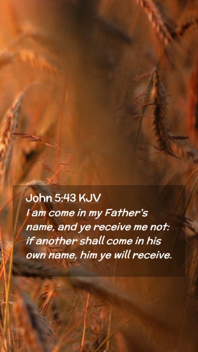 Picture 02 - John 5:43 KJV Mobile Phone Wallpaper - I am come in my Father's name, and ye receive me - Mobile Bible Verse Wallpaper