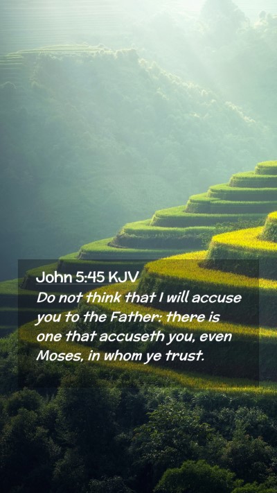 Picture 02 - John 5:45 KJV Mobile Phone Wallpaper - Do not think that I will accuse you to the - Mobile Bible Verse Wallpaper