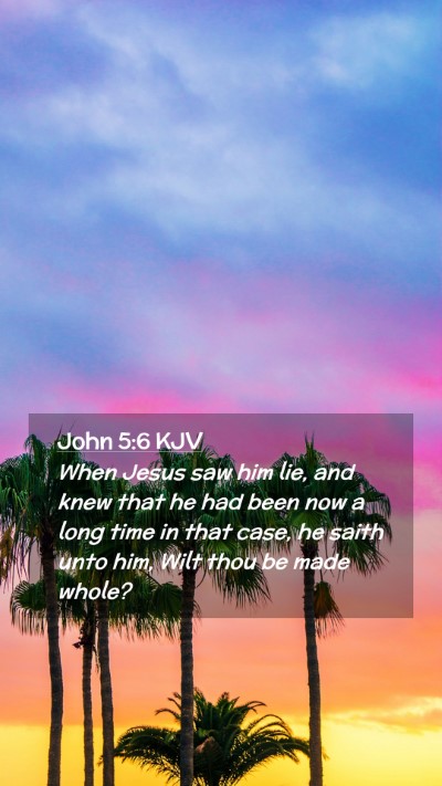 Picture 02 - John 5:6 KJV Mobile Phone Wallpaper - When Jesus saw him lie, and knew that he had been - Mobile Bible Verse Wallpaper